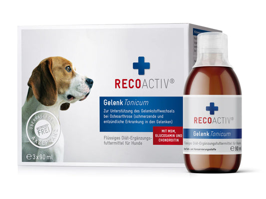 RECOACTIV® Gelenk Tonicum