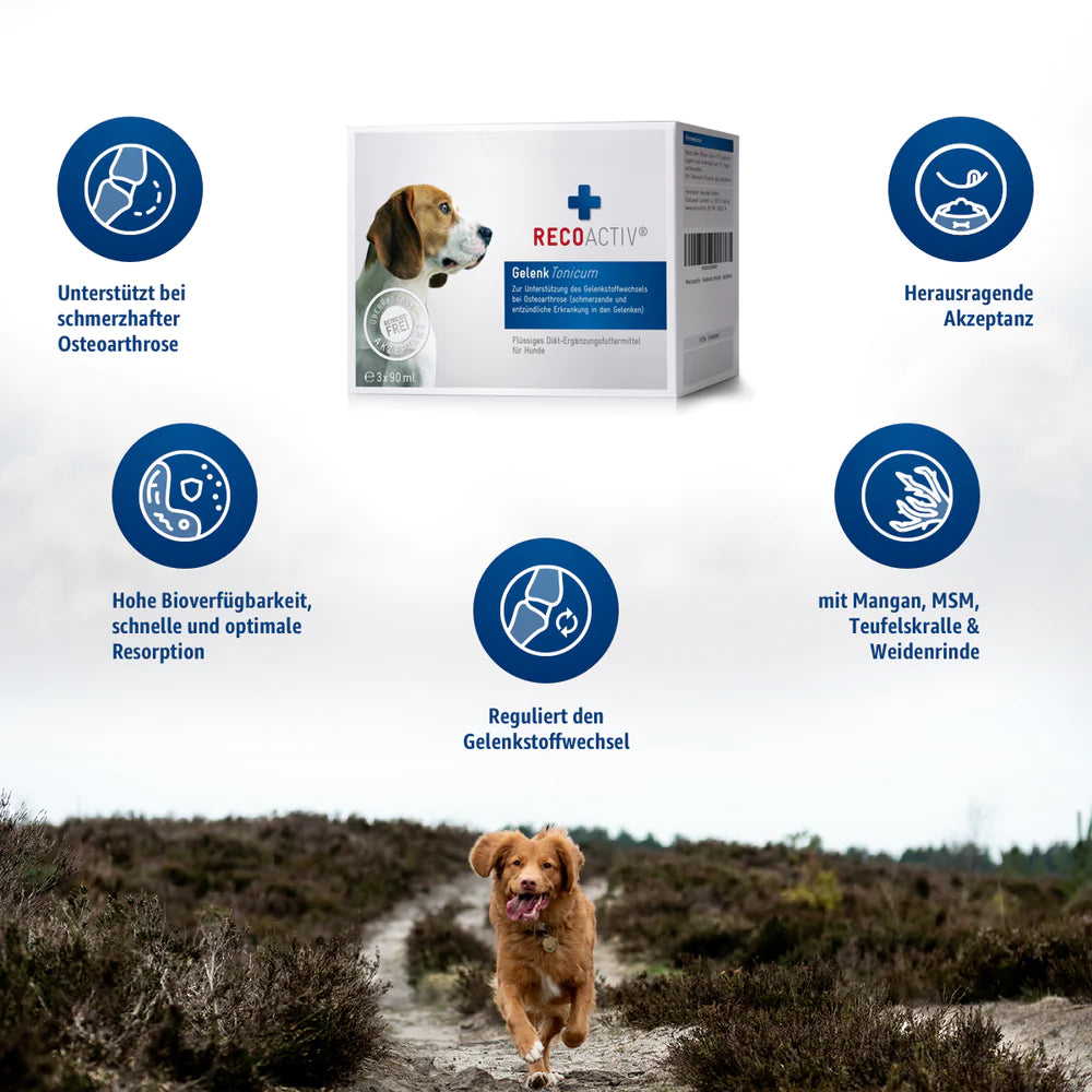 RECOACTIV® Gelenk Tonicum
