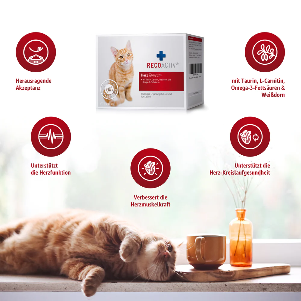 RECOACTIV® Herz Tonicum