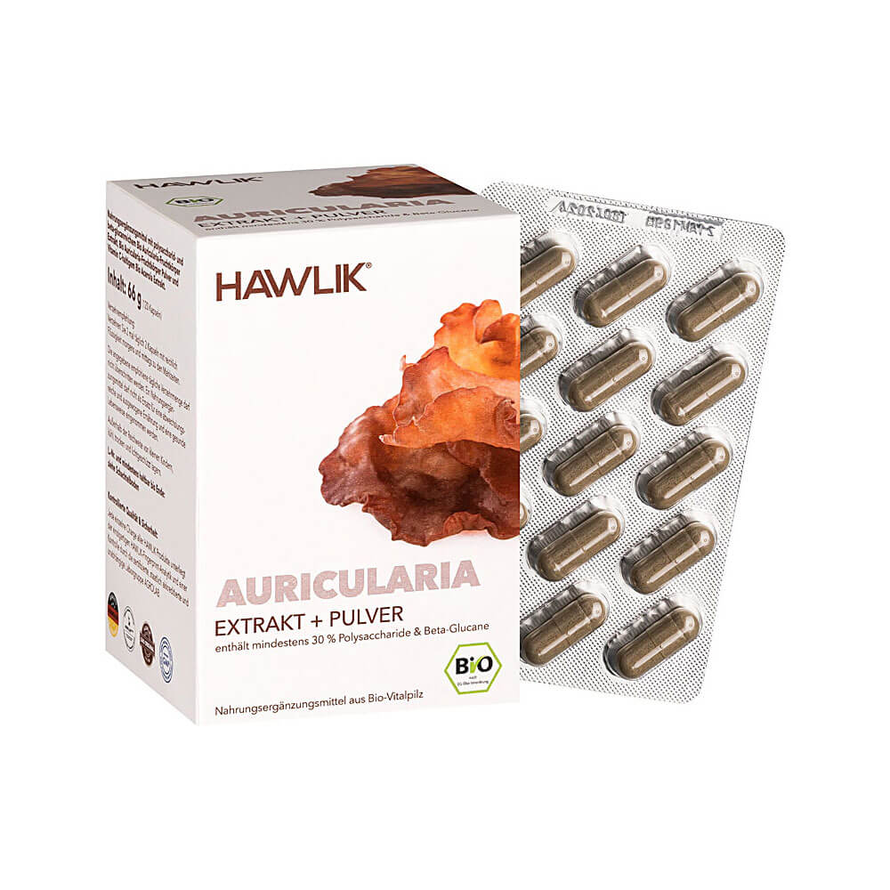 Auricularia Extrakt + Pulver
