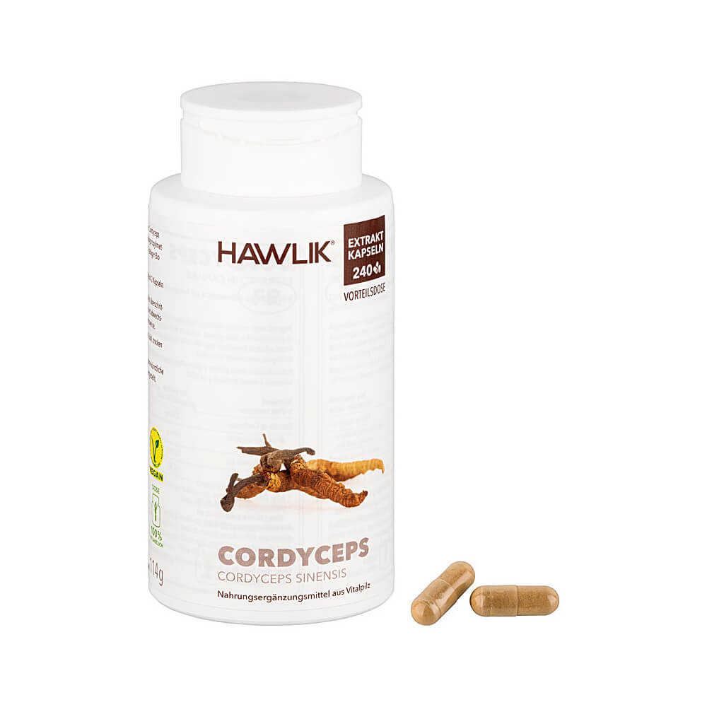 Cordyceps Extrakt (Bio)