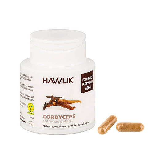 Cordyceps Extrakt (Bio)