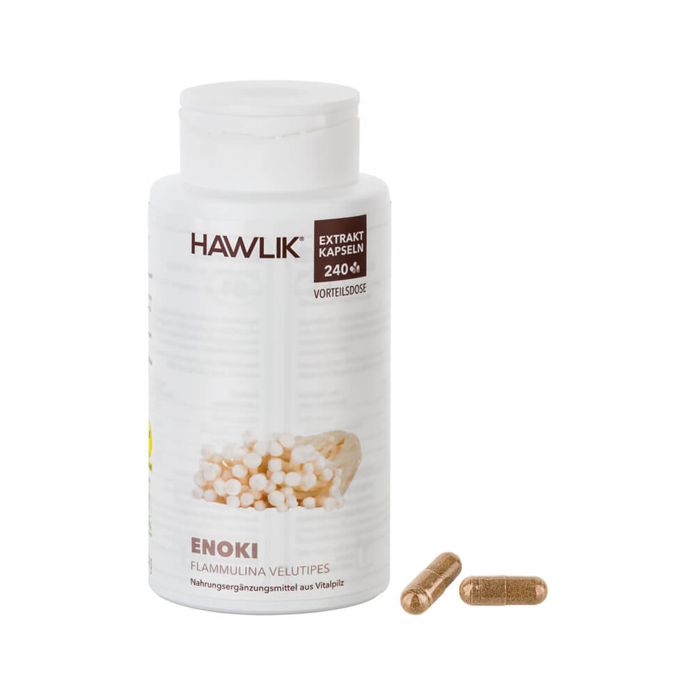 Enoki Extrakt