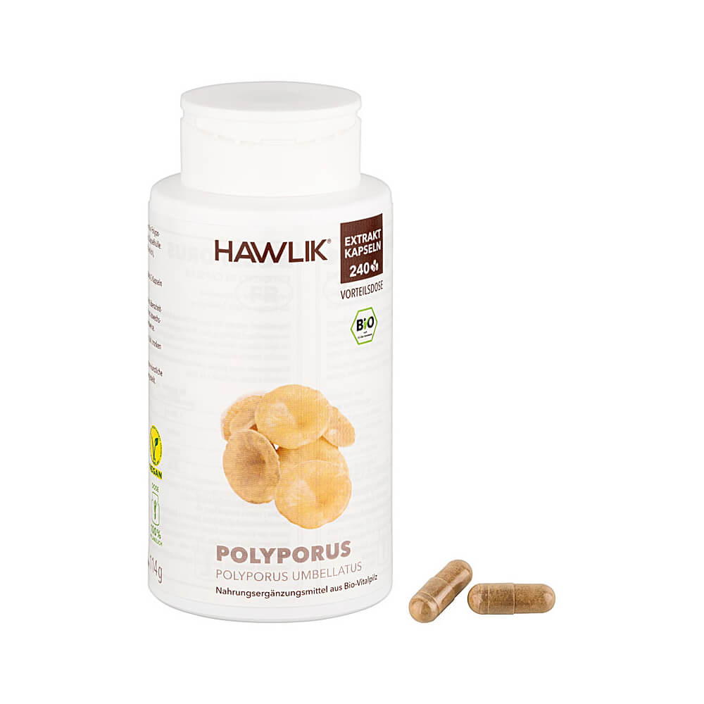 Polyporus Bio Extrakt
