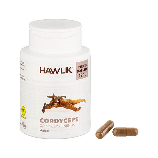 Cordyceps Pulverkapseln (Bio)