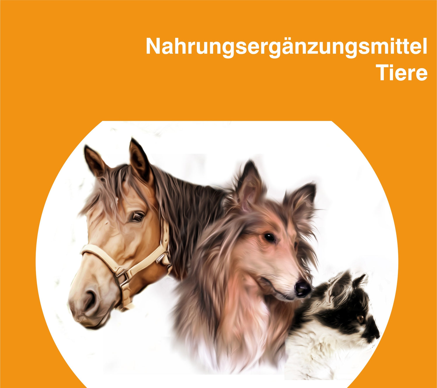 Nahrungsergänzungsmittel für Tiere