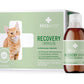 RECOACTIV® Recovery Immun Tonicum