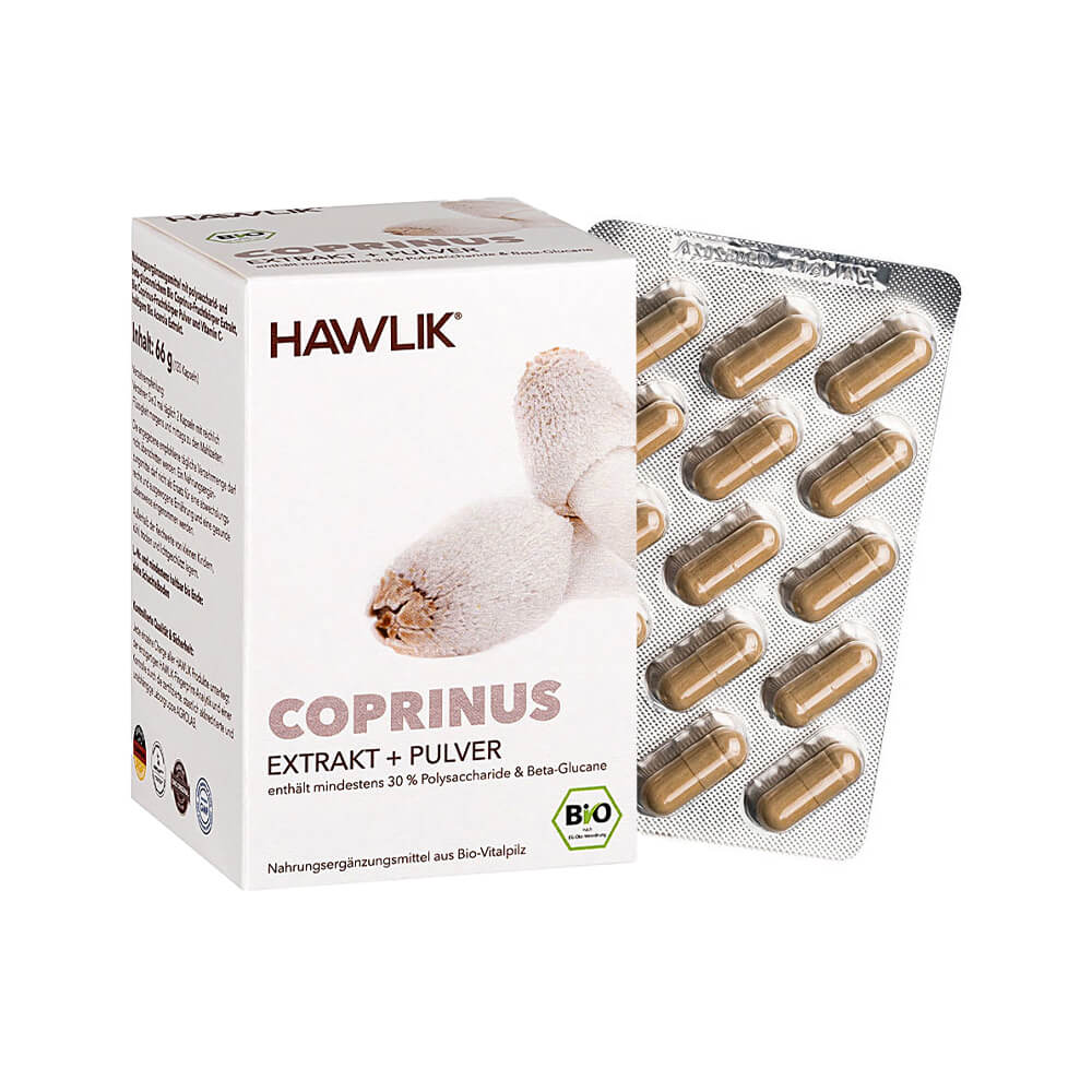 Coprinus Extrakt + Pulver (Bio)