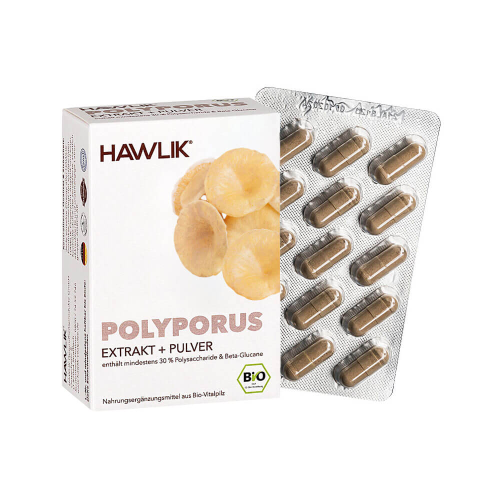 Polyporus Extrakt + Pulver
