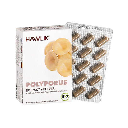 Polyporus Extrakt + Pulver