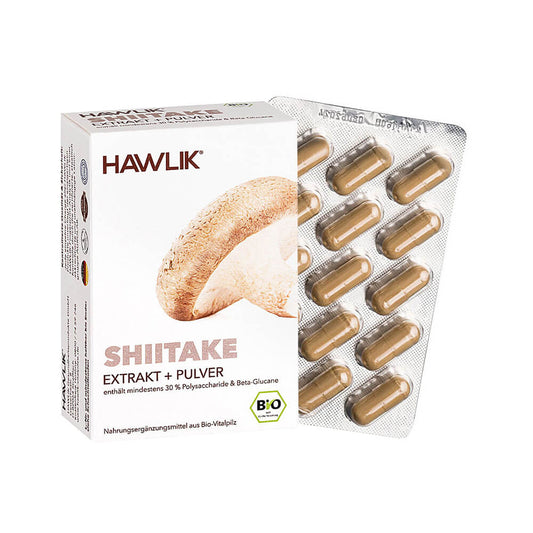 Shiitake Extrakt + Pulver