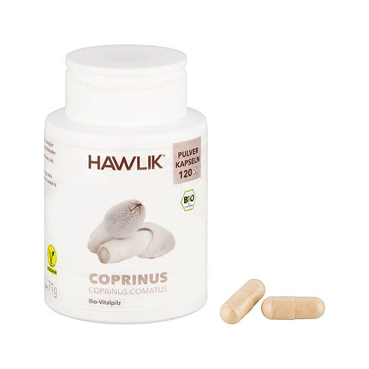 Coprinus Pulverkapseln (Bio)
