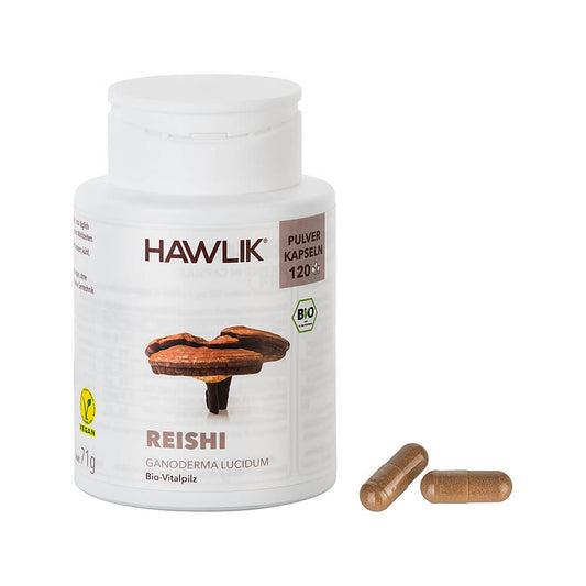 Reishi Pulverkapseln (Bio)